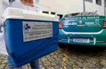  Paraná teve a menor taxa de recusa familiar para doação de órgãos do Brasil em 2024